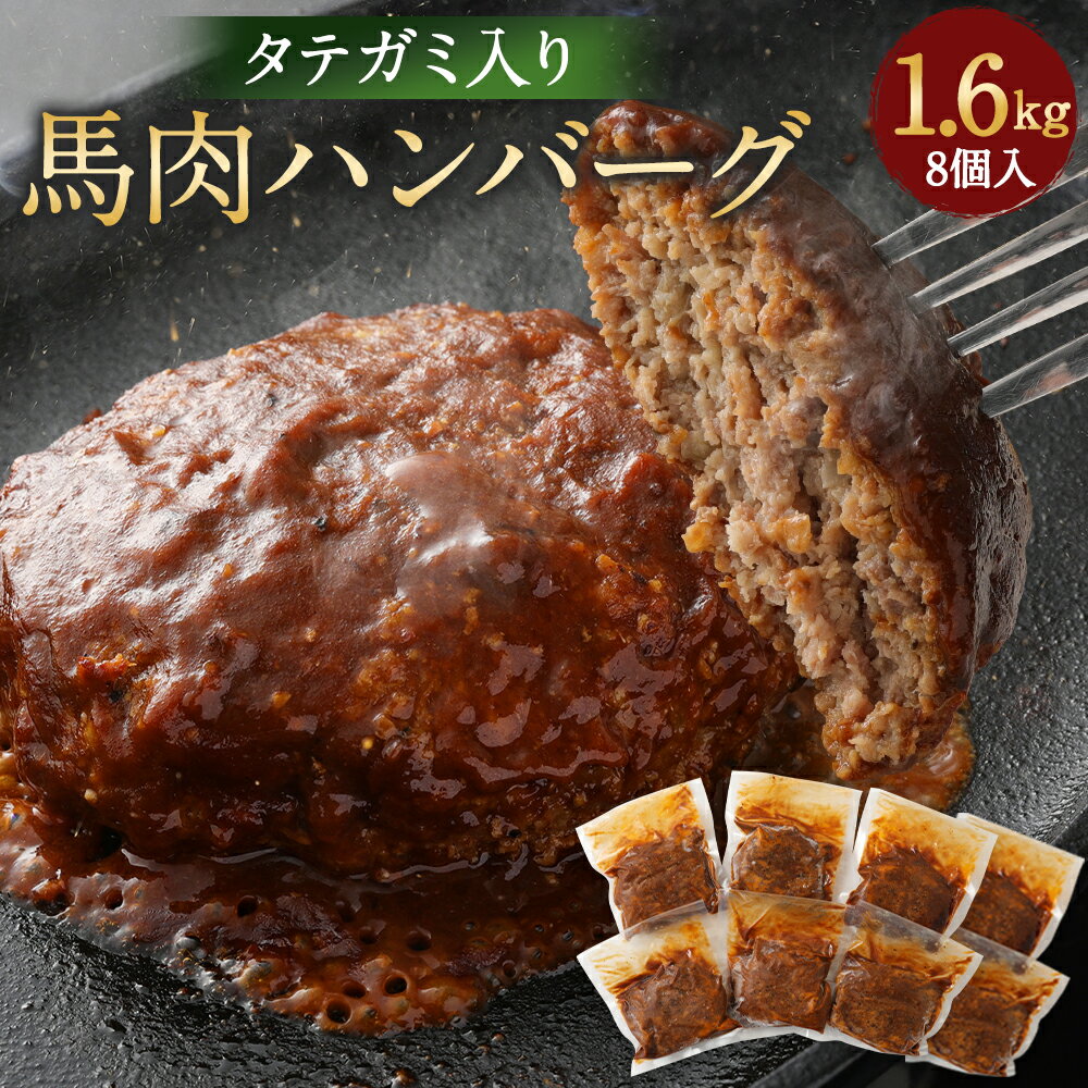 【ふるさと納税】タテガミ入り馬肉ハンバーグ 8個セット 200g×8個 合計1.6kg（デミソース含む） デミグ..