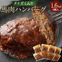 【ふるさと納税】タテガミ入り馬肉ハンバーグ 8個セット 20