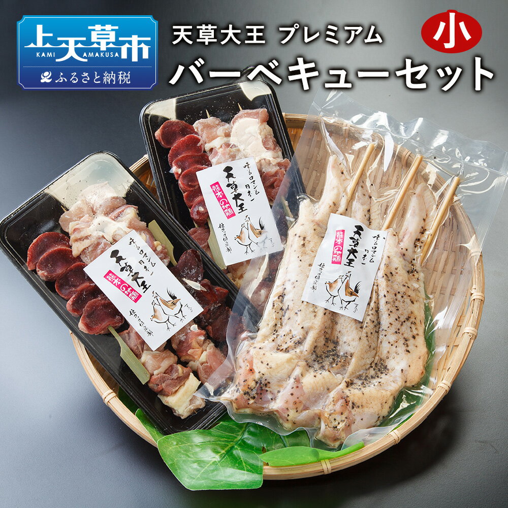 【ふるさと納税】天草大王 プレミアム バーベキューセット小 地鶏 鶏肉 セット 熊本県 上天草産 串セット 大手羽先串