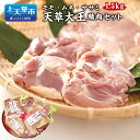 10位! 口コミ数「4件」評価「4」天草大王精肉セット 1.5kg 地鶏 鶏肉 セット 熊本県 上天草産 モモ ムネ ササミ