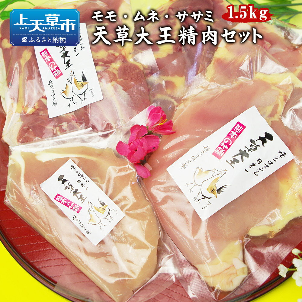 天草大王精肉セット 1.5kg 地鶏 鶏肉 セット 熊本県 上天草産 モモ ムネ ササミ