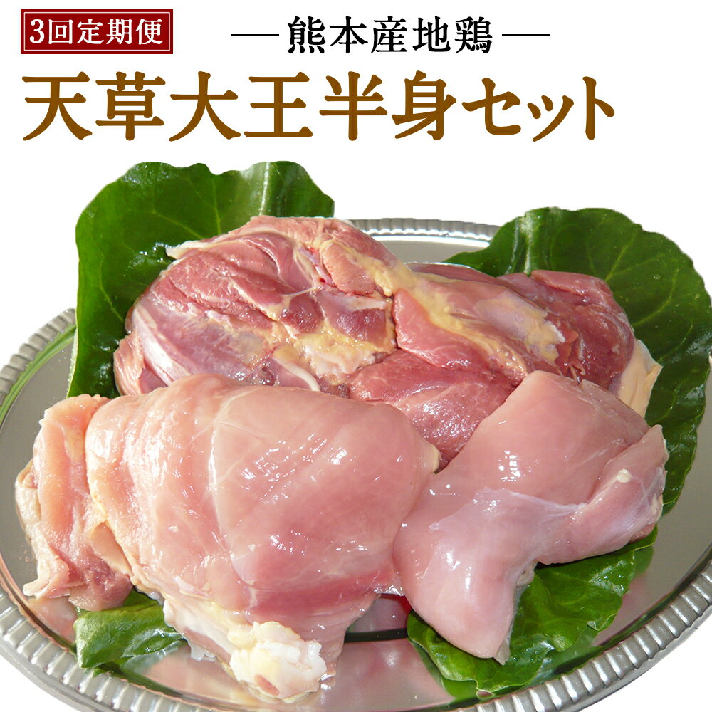 全国お取り寄せグルメ熊本とり肉No.9