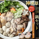 【ふるさと納税】【選べるセット】天草大王鍋セット または 天草大王まんぷく鍋セット 地鶏 鶏肉 セット 熊本県 上天草産 水炊き ぶつ切 手羽元 つみれ団子 ガ...