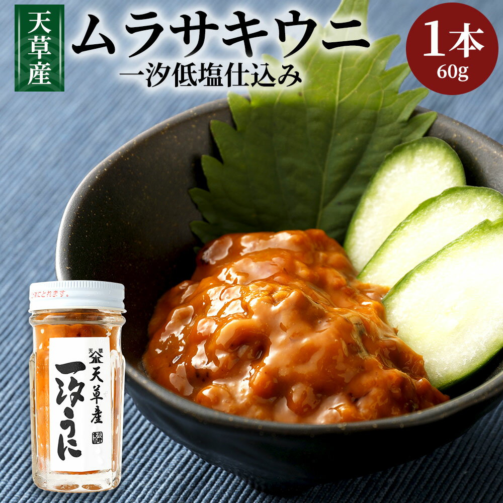 【ふるさと納税】天草産ムラサキウニ(一汐低塩仕込み)60g 塩 甘塩うに うに むらさきうに ウニ うに ...