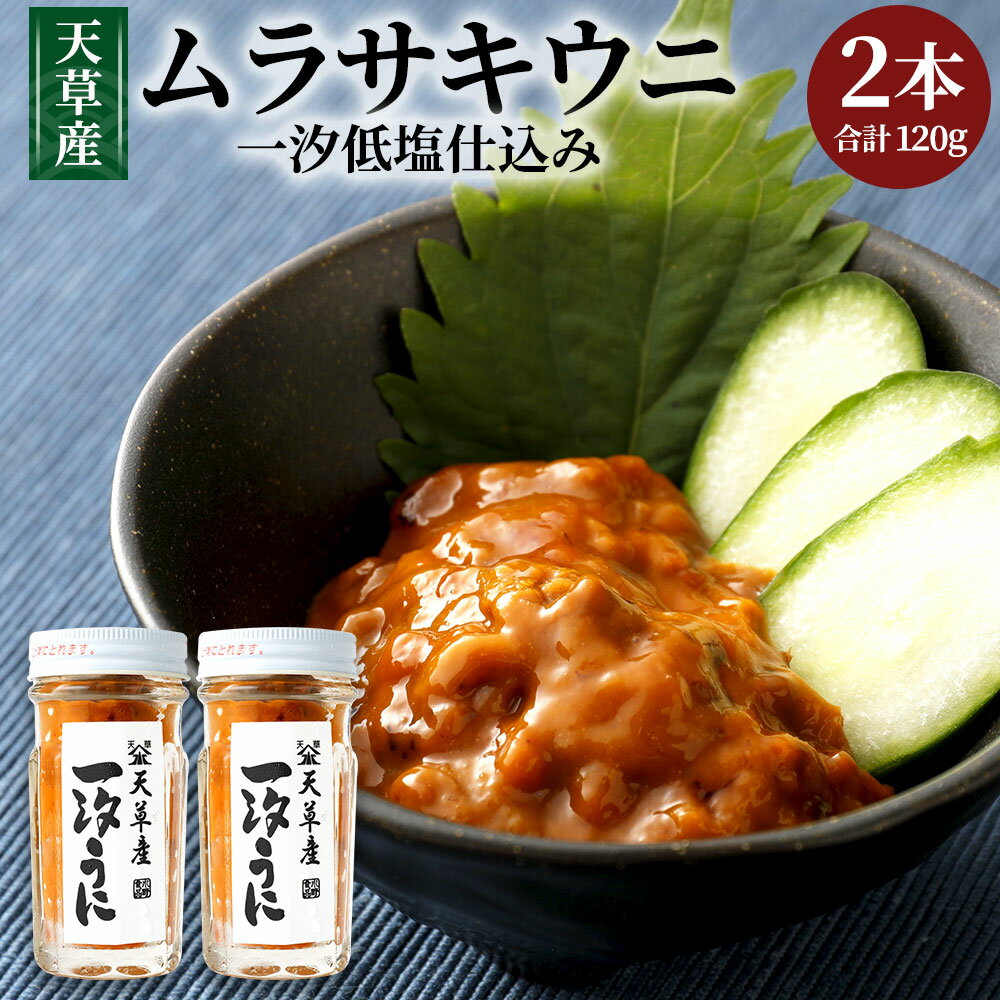 【ふるさと納税】天草産ムラサキウニ(一汐低塩仕込み)60g×2本 塩 甘塩うに うに むらさきうに ウニ うに 熊本県産 九州 冷凍 送料無料