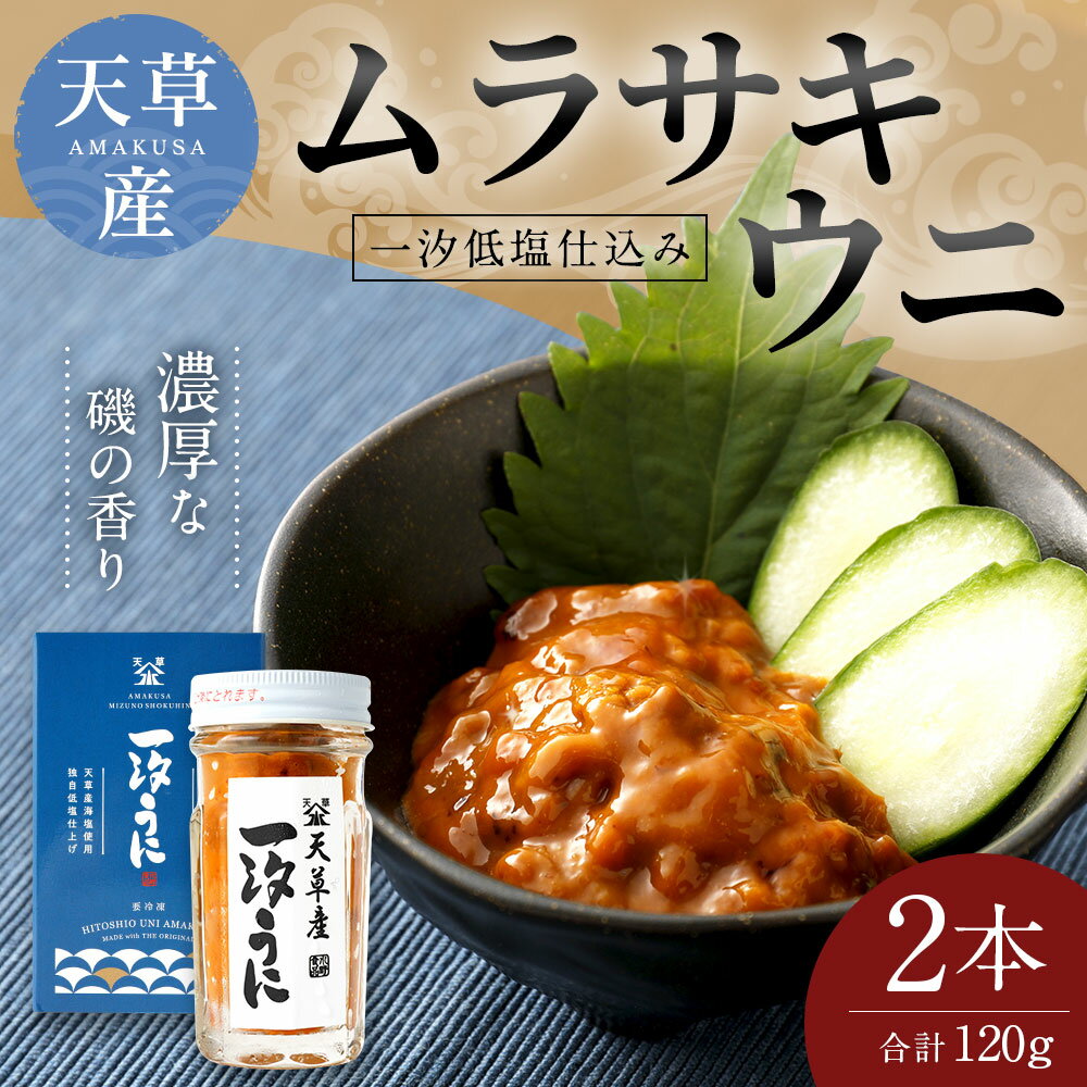 【ふるさと納税】天草産ムラサキウニ(一汐低塩仕込み)60g×2本 塩 甘塩うに うに むらさきうに ウニ うに 熊本県産 九州 冷凍 送料無料