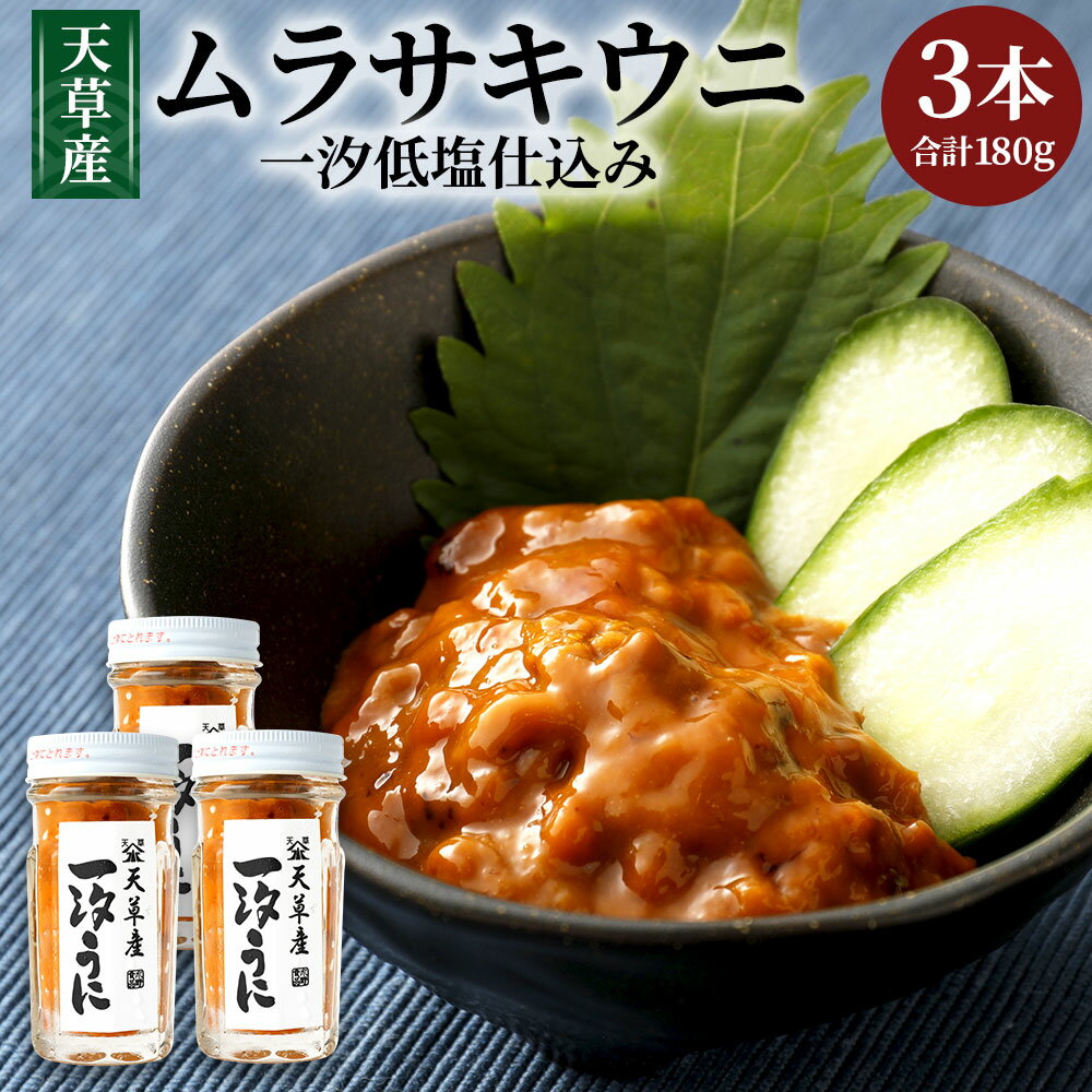 【ふるさと納税】天草産ムラサキウニ(一汐低塩仕込み)60g×