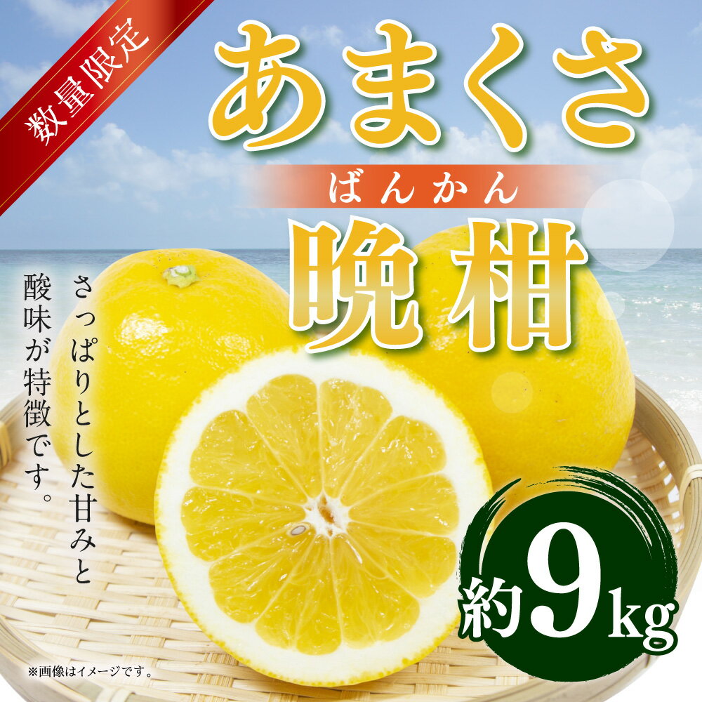 熊本県上天草市の画像2