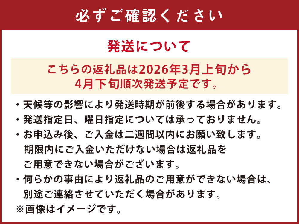 熊本県上天草市の画像3