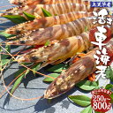 【ふるさと納税】【配送日指定品】上天草産活き車海老 250g~800g 約8尾~40尾 選べる内容量 選べる 魚介 海鮮 活き海老 海老 えび くるまえび 車海老 国産 活魚 熊本県 上天草市 送料無料【配送期間2025年11月20日から2026年1月31日】