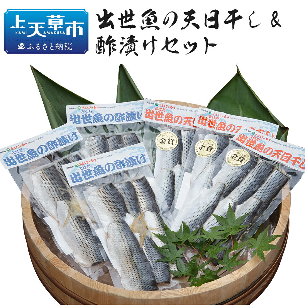 【ふるさと納税】出世魚(こはだ)の天日干し&酢漬けセット 天日干し6枚入×3パック 酢漬け6枚入×3パック こはだ セット 九州産 熊本県産 国産 冷凍 送料無料