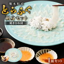 【ふるさと納税】とらふぐ「刺身」セット 吉宝ふぐ 【焼きひれ/特製ポン酢/もみじおろし付き】 有名ホテルの料理人が仕入れる逸品 フグ とらふぐ ブランドとらふぐ...