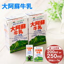 【ふるさと納税】【選べる】大阿蘇牛乳 200ml×24個入(1箱) または 250ml×24個入(1箱) 合計4.8L または 合計6L 牛乳 ミルク 成分無調...