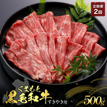 【定期便2回】くまもと黒毛和牛 すきやき用 500g 肉 お肉 おにく 国産牛 牛肉 黒毛和牛 ブランド牛 スライス すき焼き肉 すき焼き グルメ 熊本県産 冷凍 定期便 毎月届く 毎月 定期 2回 送料無料