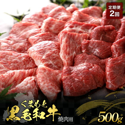 【定期便2回】くまもと黒毛和牛 焼肉用 500g 肉 お肉 おにく 国産牛 牛肉 黒毛和牛 ブランド牛 焼き肉 焼肉 グルメ 熊本県産 冷凍 定期便 毎月届く 毎月 定期 2回 送料無料