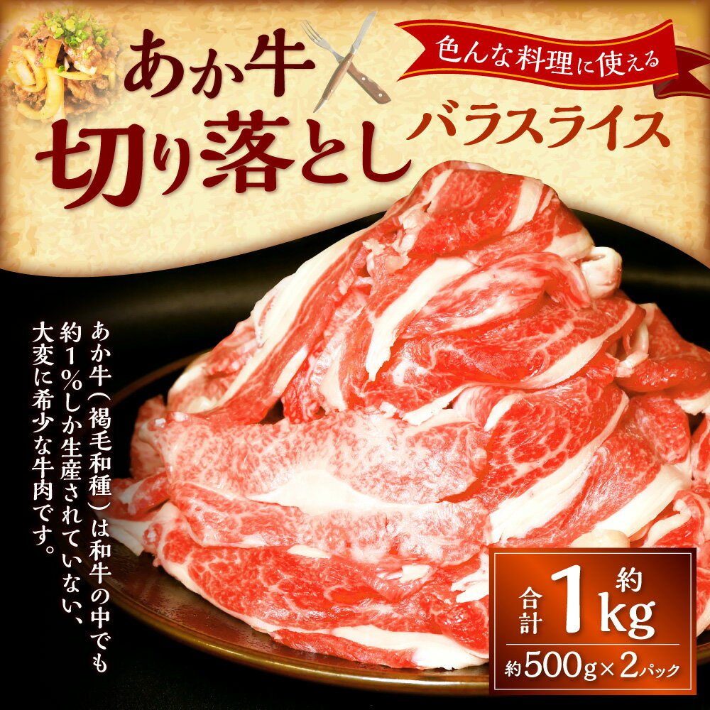 熊本県上天草市の画像2