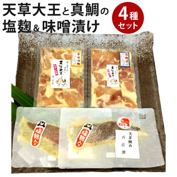 【ふるさと納税】 天草大王と真鯛の塩麹&味噌漬けセット 天草大王塩麹漬け 200g 天草大王甘味噌麹漬け 200g 天草鯛の西京漬け 一切 天草鯛の味噌漬け(磯風味) 一切 天草大王 塩麹漬け 甘味噌麹漬け 天草鯛 西京漬け 味噌漬け 食べ比べ 4種類 冷凍 送料無料