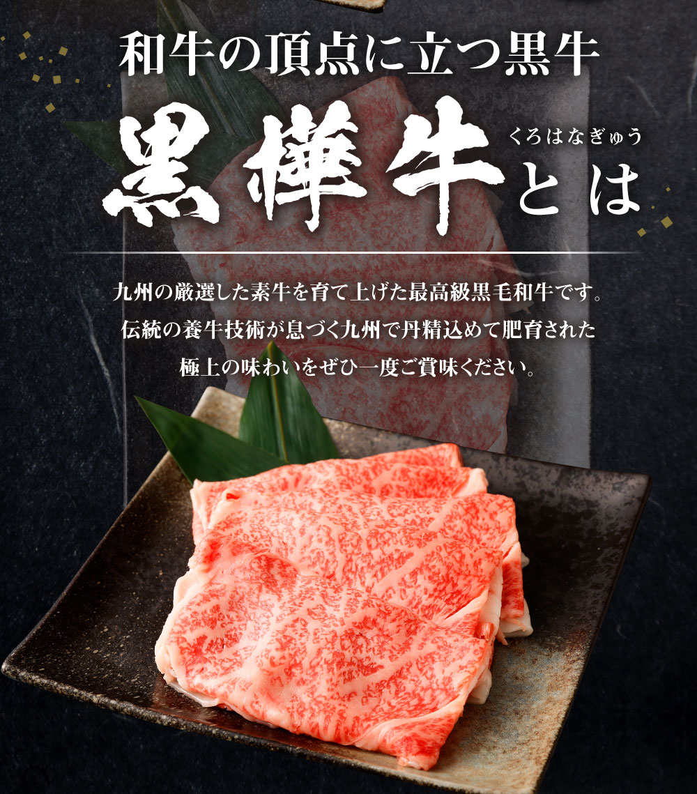 熊本県上天草市の画像3