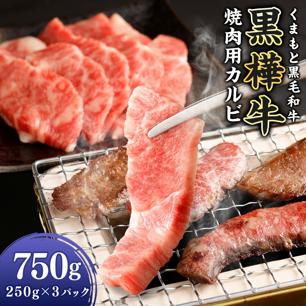 【ふるさと納税】黒樺牛 焼肉用カルビ 750g(250g×3パック) 肉 お肉 牛肉 和牛 黒毛和牛 国産 冷凍 焼き肉 焼肉 冷凍 熊本県 送料無料