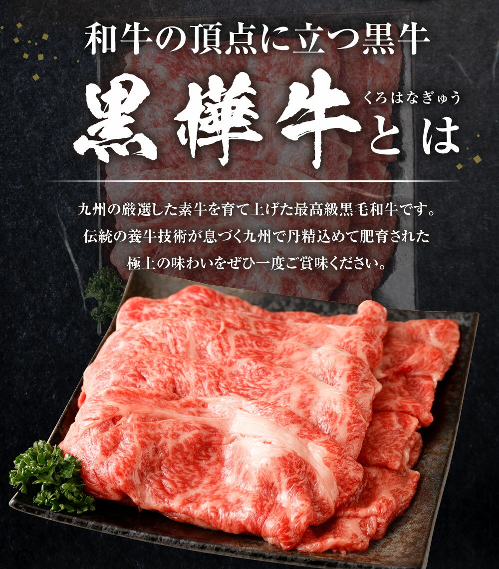 熊本県上天草市の画像3