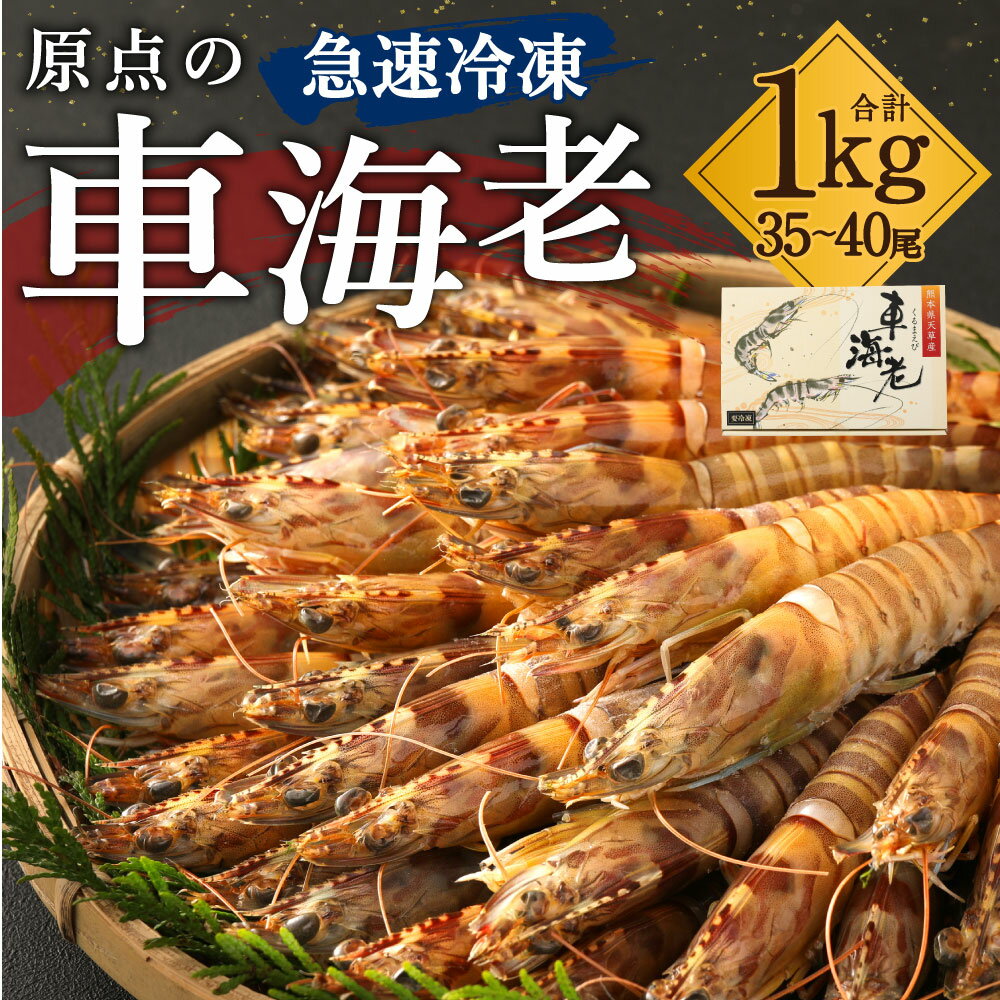 【ふるさと納税】原点の車海老 急速冷凍 1kg 35〜40尾 500g×2パック くるまえび 海老 えび 車海老 海鮮 国産 九州産 熊本県産 冷凍 送料無料