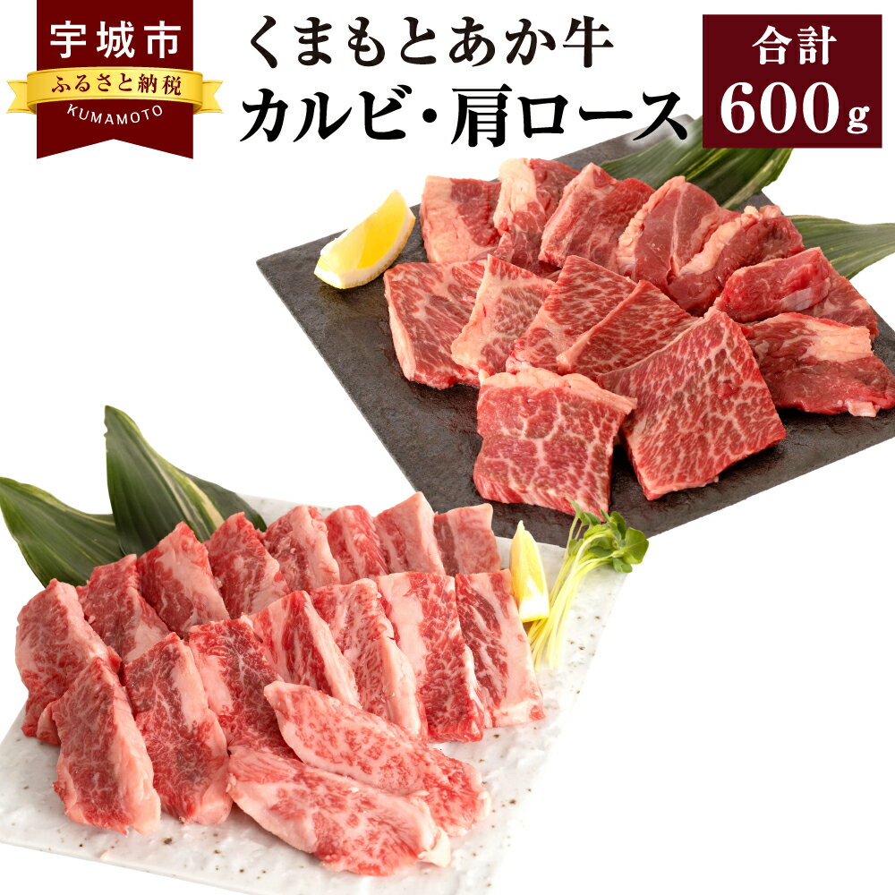 くまもとあか牛 カルビ 300g 肩ロース 300g 合計600g 肉 牛肉 和牛 赤牛 焼肉 BBQ 熊本県産 九州産 国産 冷凍 送料無料