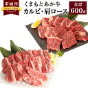 【ふるさと納税】くまもとあか牛 カルビ 300g 肩ロース 300g 合計600g 肉 牛肉 和牛 赤牛 焼肉 BBQ 熊本県産 九州産 国産 冷凍 送料無料