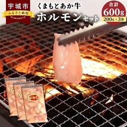 【ふるさと納税】くまもとあか牛 ホルモンセット 合計600g (200g×3袋) ホルモン 小腸 焼肉 鉄板焼き もつ鍋 お肉 牛肉 和牛 赤牛 熊本県産 九州産 国産 冷凍 送料無料