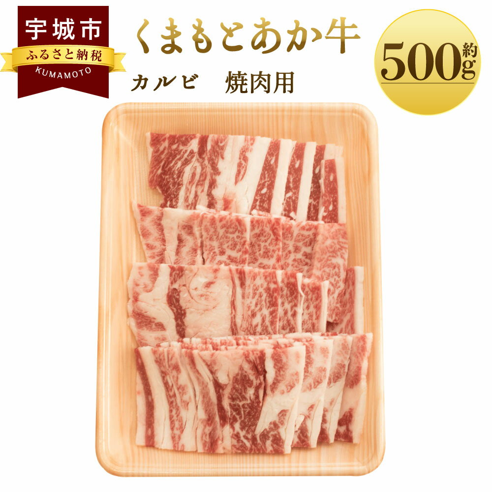 くまもとあか牛 カルビ 焼肉用 約500g×1パック あか牛 牛肉 和牛 赤身肉 肉 カルビ バラ肉 国産 九州産 熊本県産 焼肉 食品 冷凍 送料無料