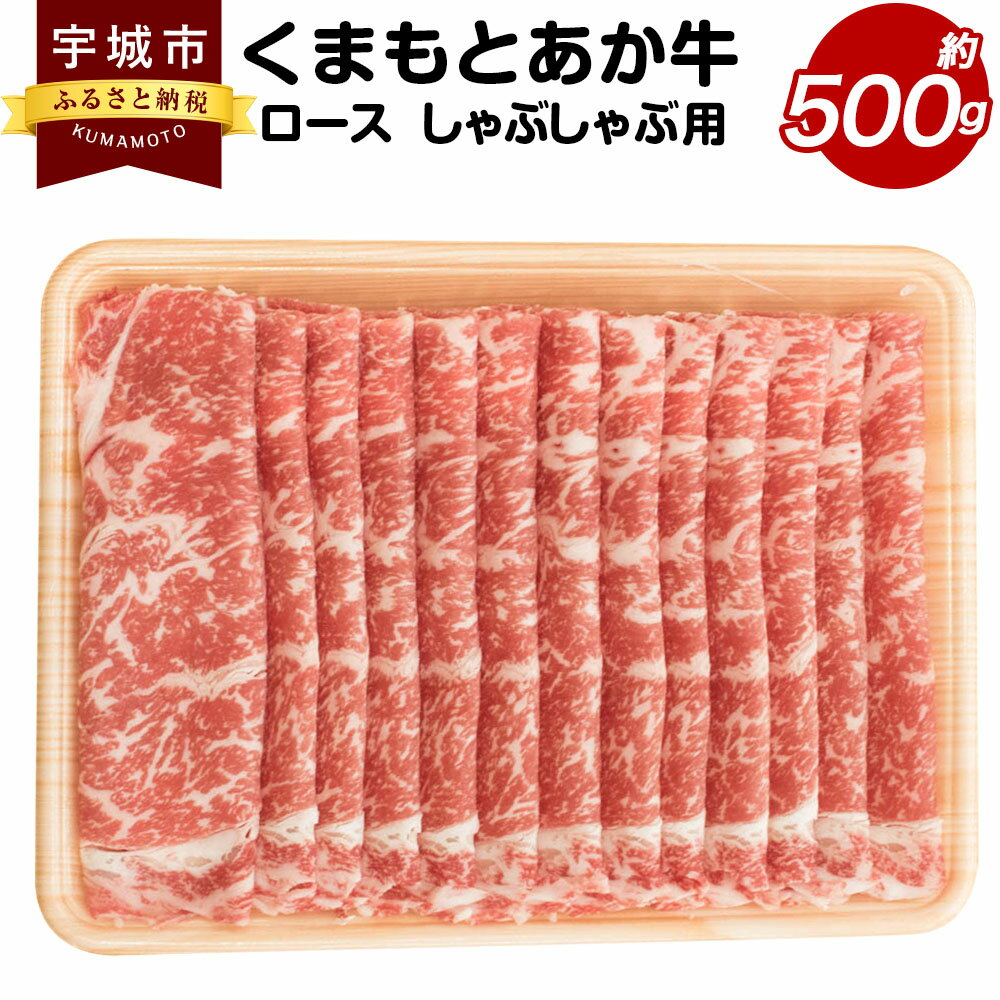 くまもとあか牛 ロース しゃぶしゃぶ用 約500g あか牛 牛肉 和牛 赤身肉 肉 ロース しゃぶしゃぶ 国産 九州産 熊本県産 食品 冷凍 送料無料