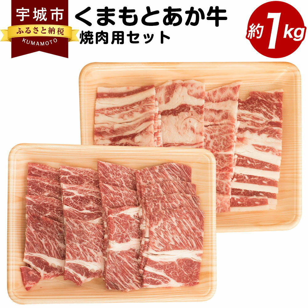 くまもとあか牛 焼肉用セット 合計約1kg あか牛 牛肉 和牛 赤身肉 肉 肩ロース カルビ 国産 九州産 熊本県産 焼肉 セット 詰め合わせ 食品 冷凍 送料無料