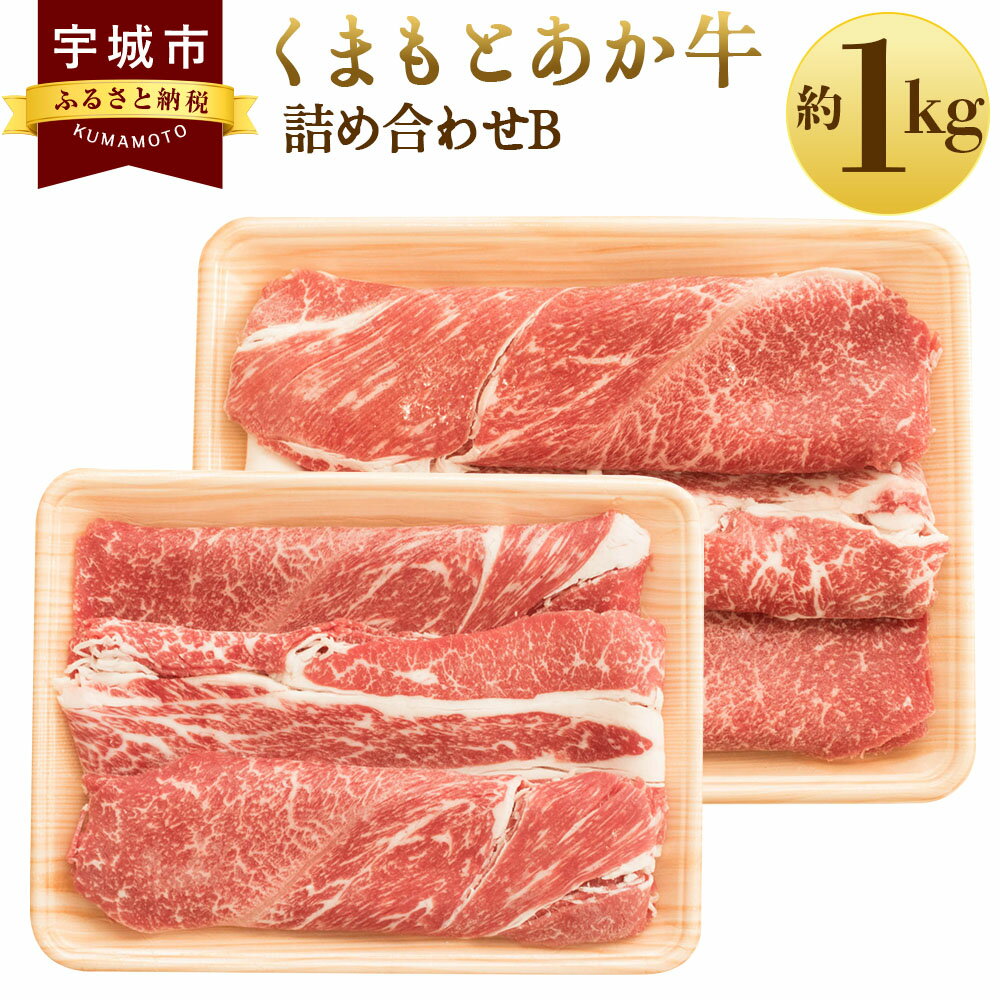 くまもとあか牛 詰め合わせB 合計約1kg あか牛 牛肉 和牛 赤身肉 肉 切落し すき焼き しゃぶしゃぶ モモ カタ バラ セット 詰め合わせ 国産 九州産 熊本県産 食品 冷凍 送料無料