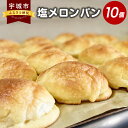 楽天熊本県宇城市【ふるさと納税】塩メロンパン 10個セット メロンパン パン ぱん 菓子パン スイーツ おやつ 朝食 食品 軽食 冷凍 詰め合わせ ミルキー 人気商品 お取り寄せ 九州 熊本県 宇城市 送料無料