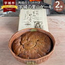 21位! 口コミ数「0件」評価「0」宇城の里山ケーキ 2個セット 陶器の器付き デザート おやつ スイーツ お取り寄せ うつわ 石窯 冷凍 宇城市 熊本県 送料無料