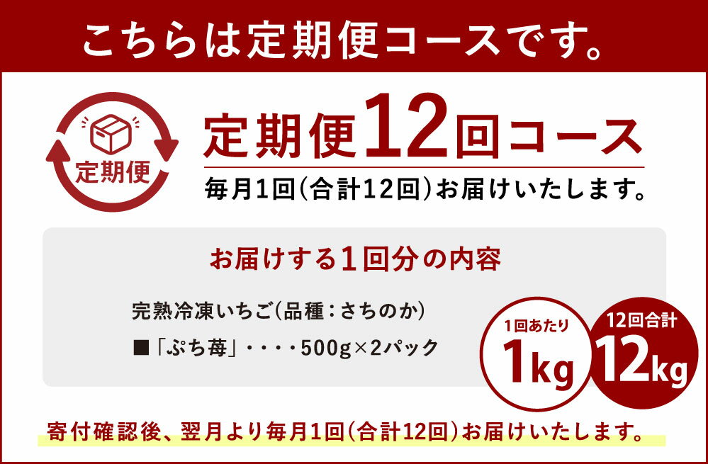 【ふるさと納税】【定期便12ヶ月】完熟 冷凍 いちご ぷち苺 500g×2パック 園村苺園 定期便 1回あたり 合計1kg 12回定期便 合計12kg 12ヶ月 連続 イチゴ 苺 さちのか フルーツ 果物 デザート パック 急速冷凍 贈答品 贈り物 のし対応 国産 九州産 熊本県産 宇城市産 送料無料