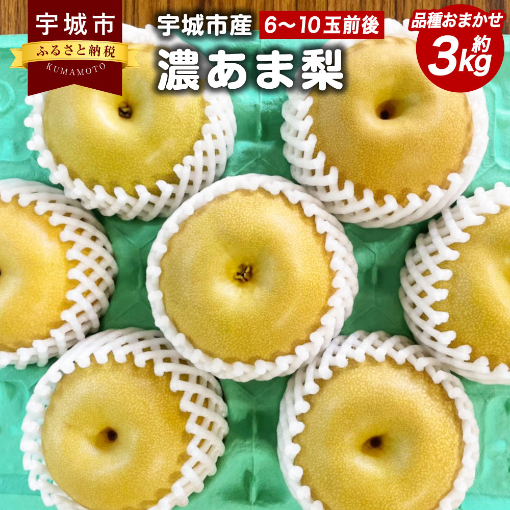 【ふるさと納税】濃あま梨 約3kg（6〜10玉前後） 品種お