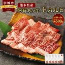 【ふるさと納税】阿蘇あか牛 上カルビ 約500g 約100g×5袋 あか牛 赤牛 牛肉 肉 お肉 カルビ 焼肉 煮込み すき焼き 国産牛 和牛 冷凍 お取り寄せ グルメ 九州 熊本県 宇城市 送料無料