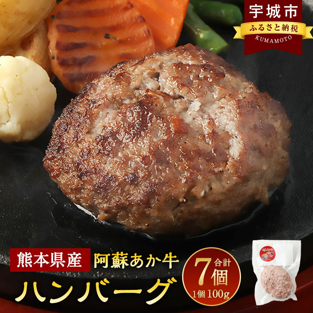 阿蘇あか牛 ハンバーグ 100g×7個 計700g あか牛 赤牛 牛肉 牛肉100％ 肉 お肉 国産牛 和牛 冷凍 簡単調理 お取り寄せ グルメ 九州 熊本県 宇城市 送料無料