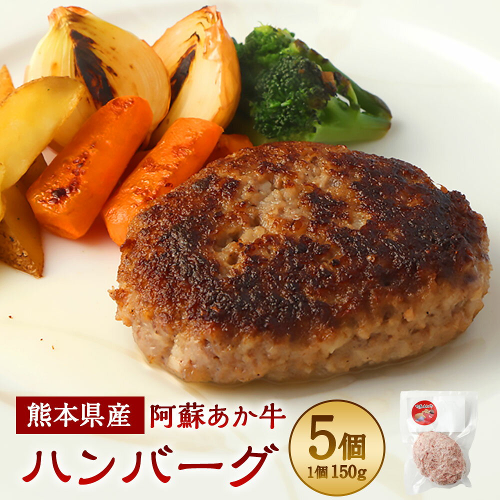 阿蘇あか牛 ハンバーグ 150g×5個 計750g あか牛 赤牛 牛肉 牛肉100％ 肉 お肉 国産牛 和牛 冷凍 簡単調理 お取り寄せ グルメ 九州 熊本県 宇城市 送料無料