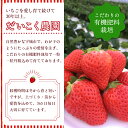 熊本県宇城市の画像3