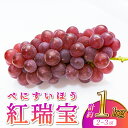 【ふるさと納税】 ぶどう 紅瑞宝 べにずいほう 約1kg 2~3房 河野ぶどう園 葡萄 産地直送 ロゼ 宇城市産 熊本県産 送料無料 【8月中旬~8月下旬発送予定】