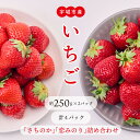 【ふるさと納税】 先行予約 いちご 「さちのか」「恋みのり」詰め合わせ 約1,000g 合計 4パック (各2パック) 【2026年1月上旬~4月発送予定】わたなべいちご園 苺 九州産 熊本産 宇城市産 食べ比べ 冷蔵 わたなべいちご園