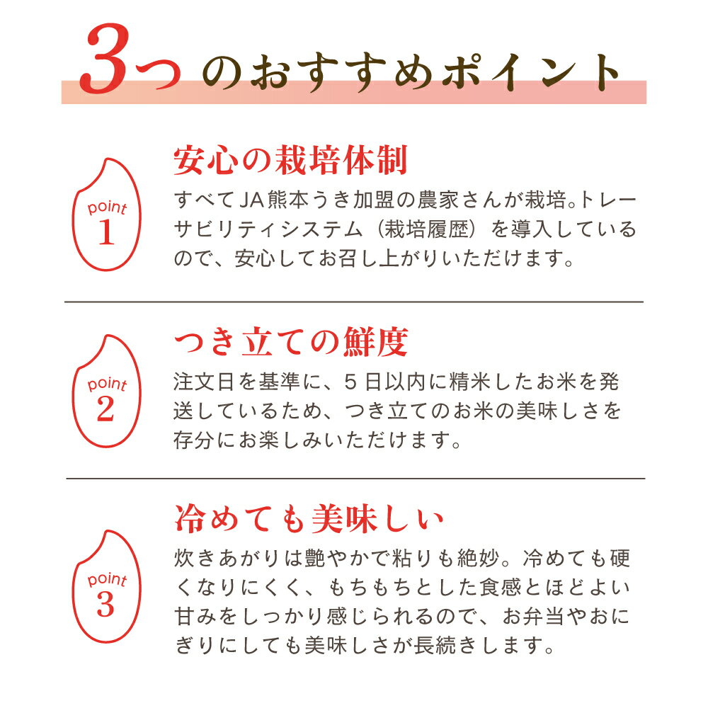 生まれも育ちも熊本のお米が森のくまさん。味・艶・香りがとっても良く、熊本県だけでしか栽培されていない、珍しいお米です。　【ふるさと納税】 新米 【令和7年産】 米 森のくまさん 【選べる容量】5kg または 10kg 【2025年11月上旬から2026年10月下旬発送予定】うるち米 白米 お米 精米 コメ ごはん ご飯 おこめ 精白米 ブランド米 単一米 国産 九州 熊本県産 熊本県 宇城市 JA熊本うき
