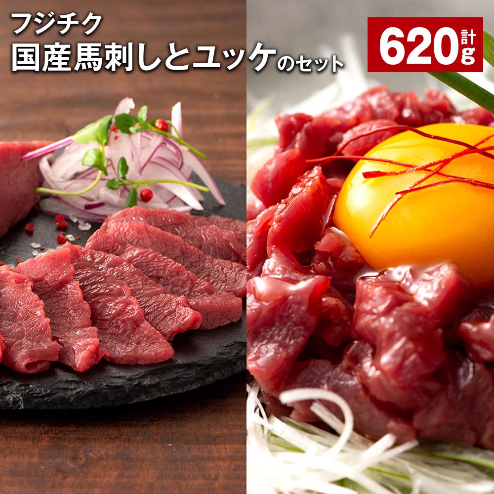 【ふるさと納税】フジチク国産馬刺しとユッケのセット 計620g 馬刺し（80g×4個） ユッケ（50g×6個） 赤身 馬肉 お肉 たれ 生姜 冷凍 国産 熊本県 宇城市 送料無料