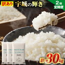 【ふるさと納税】【定期便】【1ヶ月毎2回】【訳あり】宇城の輝き 計30kg (5kg×3袋)×2回 白米 米 お米 精米 ブレンド米 おこめ こめ ごはん ご飯 コメ 袋 食品 5つ星お米マイスター お取り寄せ 国産 熊本県産 送料無料