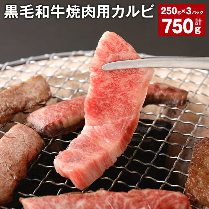 黒毛和牛焼肉用カルビ 計750g 250g×3パック 黒樺牛 牛肉 肉 お肉 和牛 焼き肉用 ブランド牛 冷凍 国産 九州 熊本県 宇城市 送料無料