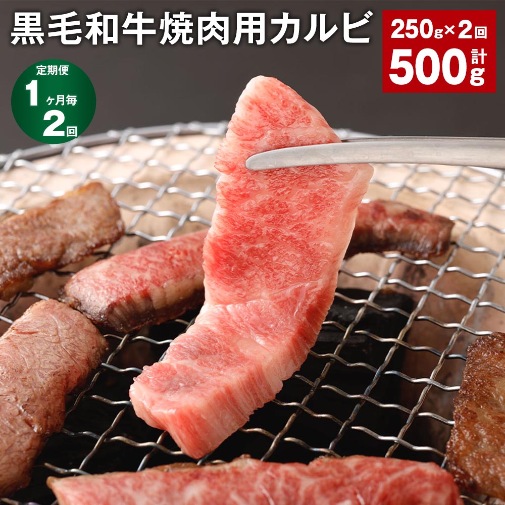 29位! 口コミ数「0件」評価「0」【定期便】【1ヶ月毎2回】黒毛和牛焼肉用カルビ 計500g （250g×2回） 黒樺牛 牛肉 肉 お肉 和牛 焼き肉用 ブランド牛 冷凍 国･･･ 