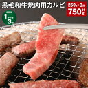 焼肉で一番の人気は、やっぱりカルビ! 自社ブランド黒毛和牛「黒樺牛」の絶品カルビは、高級焼肉店のお肉をご家庭で味わうことができます。 とろける霜降り肉から和牛の旨みが濃厚な赤身等、黒毛和牛だけのカルビです。 「黒樺牛」が支持される4つの理由 1.「独特の甘み」 黒樺牛には肥育のこだわりが育んだ独特の「甘み」があります。これは黒樺牛の上質さの証とも言える脂肪部分の甘みがあるからです。食べた皆さんからよく評価をいただく大きな特徴です。 2.「ジューシーなやわらかさ」 黒樺牛の脂肪の質は極めて上質です。そのため脂肪の融点が低く、指で触っただけでも体温でとけるくらいのやわらかさと、とろけるような食感があります。肉本来の味と脂肪が溶け合って、ジューシーなおいしさが広がります。 3.「肉のツヤ」 清潔で管理の行き届いた牛舎で育った黒樺牛の肉には独特の色ツヤがあります。この芸術品とも言える鮮やかな「サシ（赤みと脂の混じり具合）」は高級黒毛和牛ならではの特徴です。脂肪と赤身の絶妙バランスが生み出した「ツヤ」も美味しさのひとつです。 4.「様々な食べ方で」 黒樺牛はその部位の個性を活かしていろいろな楽しみ方ができるのも特徴のひとつです。ステーキや焼き肉はもちろん、「しゃぶしゃぶ」「すきやき」「カレー」など、毎日の食卓を飾る楽しさを安価な価格で楽しんでいただけます。 商品詳細 商品名 【1ヶ月ごと3回お届け】 黒毛和牛焼肉用カルビ 内容詳細 ■黒毛和牛 黒樺牛 焼肉用カルビ250g × 1パック※1回あたりの内容量賞味期限：製造日より90日産地：九州 アレルギー表記 牛肉 保存方法と注意事項 冷凍庫にて保管してください。※調理画像はイメージです。 提供者 株式会社杉本本店 発送サイズ 60サイズ 工夫やこだわり 「母乳育成」健康な牛をつくるための矢岳牧場のとりくみ美味しく安全・安心な牛肉づくりには、まず「牛そのものが健康でなければならない」という考えが、私たち杉本本店の創業以来、変わらぬポリシーです。健康で丈夫な身体をつくるため最も大切にしているのは、子牛が産まれたら母牛の母乳を与えること。そしてさらに丈夫な身体の基盤をつくるために、産まれてから2週間を親子で飼育することです。母乳には免疫の強化だけでなく、健康に育つための成分が含まれており、親子で飼育することでストレスを無くすことが可能になるからです。子牛は母乳を4番目の胃で飲みながら胃袋を発達させていくと言われています。胃袋が発達していく段階に添って粗飼料に変化させることで、自然な成長サイクルが維持され「健康な牛」として成長していくのです。 関わっている人 絶妙のバランス。それが「黒樺牛」のおいしさです。私たち杉本本店は牛への長年の育成技術に基づいた上で、肉質などを見極めながら「黒樺牛」ブランドの名に恥じない牛のみを、厳しい品質管理基準を通して出荷しています。「香り」「味覚」「食感」の絶妙なバランスがとれた厳選された黒樺牛として皆様にお届けしています。 時期 1947年の創業時は食肉の卸売業としてスタートしましたが、現在は牛の繁殖から肥育、生産、販売までを一貫して行っています。牛の生産者の高齢化や輸入肉の増加などで和牛が年々減少していく中で、消費者に牛肉を安定供給できなくなるのではという危機感を持ったのが、事業の幅を広げた理由です。私たちは「安全・安心・高品質(信頼)を食卓へ」を経営理念に、時代環境の変化に速やかに対応できる、柔軟な会社経営を目指してまいりました。常に、最新最善の方法を駆使して、お客さまにおいしくて安全で安心な牛肉・食品をお届けしています。 お礼の品に対する想い 和牛の頂点に立つ黒牛「黒樺牛」は、九州の厳選した素牛を育て上げた最高級黒毛和牛です。「黒樺牛」の名前の由来は、『華やかさ』と厳寒の大地にどっしり根を張る落葉高木「白樺」の名に由来します。味にこだわればこそ、肥沃な大地が育む滋養豊富な牧草、そして清らかな水にこだわりました。伝統の養牛技術が息づく九州で一番の生産地にあえて自社牧場を置き、徹底された管理のもとに丹精込めて肥育された極上の味わいをぜひ一度ご賞味ください。 ・寄附申込みのキャンセル、返礼品の変更・返品はできません。あらかじめご了承ください。 ・ふるさと納税よくある質問はこちら寄附金の使い道について (1) 質の高い教育、文化の向上に関する事業 (2) 地場産業の育成と雇用の促進に関する事業 (3) 観光の振興に関する事業 (4) 健康づくりに関する事業 (5) 環境循環型社会の構築に関する事業 (6) その他目的達成のために市長が必要と認める事業 受領申請書及びワンストップ特例申請書について ■受領書入金確認後、注文内容確認画面の【注文者情報】に記載の住所に30日以内に発送いたします。 ■ワンストップ特例申請書入金確認後、注文内容確認画面の【注文者情報】に記載の住所に30日以内に発送いたします。