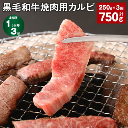 【定期便】【1ヶ月毎3回】黒毛和牛焼肉用カルビ 計750g （250g×3回） 黒樺牛 牛肉 肉 お肉 和牛 焼き肉用 ブランド牛 冷凍 国産 九州 熊本県 宇城市 送料無料