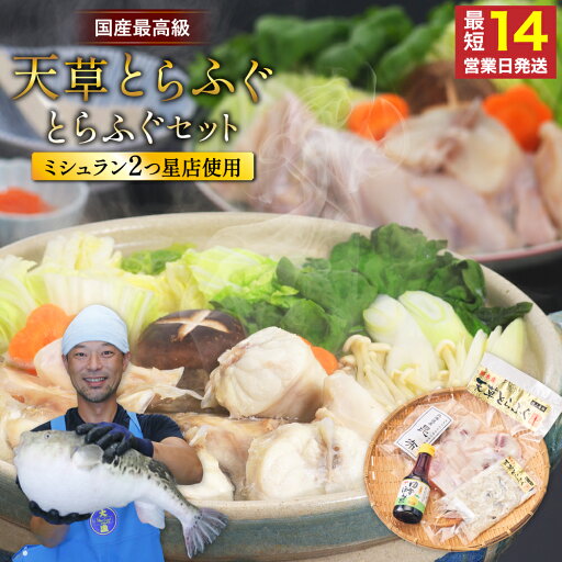 【ふるさと納税】ふぐの王様 とらふぐ 国内最高級 天草とらふぐセット 合計350g ゆずポン酢・出汁用昆布付き フグ身 アラ フグ ふぐ 皮 てっちりひれ酒用 焼きひれ 海鮮 魚介類 鍋 冷凍 熊本県産 国産 送料無料 【ふるさと納税】ふぐの王様 とらふぐ 国内最高級 天草とらふぐセット 合計350g ゆずポン酢・出汁用昆布付き フグ身 アラ フグ ふぐ 皮 てっちりひれ酒用 焼きひれ 海鮮 魚介類 鍋 冷凍 熊本県産 国産 送料無料